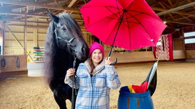 Anna und die Haustiere: Friese