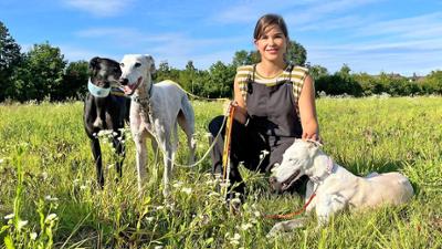 Anna und die Haustiere: Galgo Espanol