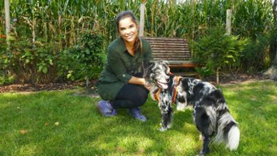 Anna und die Haustiere: Australian Shepherd