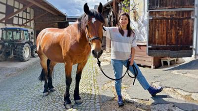 Anna und die Haustiere: Mustang Anna und die Haustiere: Mustang