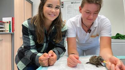 Anna und die Haustiere spezial: Ein Tag bei der Tierrettung
