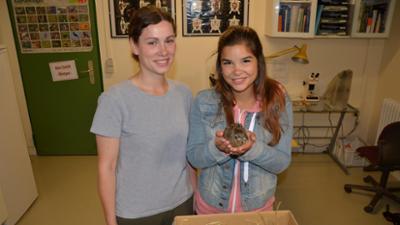 Anna und die wilden Tiere: Feldhase und Wildkaninchen