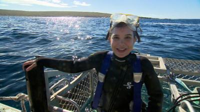 Anna und die wilden Tiere: Mit dem Hai unter Wasser