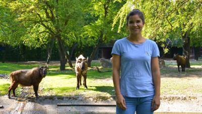 Anna und die wilden Tiere: Hier stinkt's nach Takin!