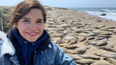 Anna und die wilden Tiere: SOS bei den See-Elefanten