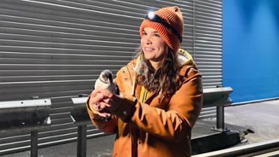 Anna und die wilden Tiere: Auf Papageitaucher-Patrouille