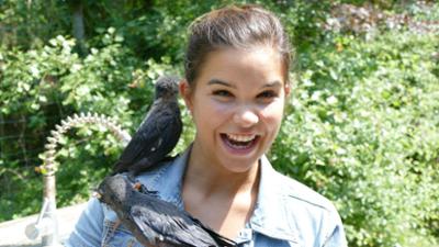 Anna und die wilden Tiere: Klug wie ein Rabe Anna und die wilden Tiere: Klug wie ein Rabe