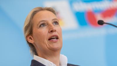 Bericht vom Parteitag der AfD