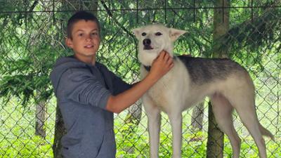 Das Camp in der Wildnis: Endlich Huskys! (S01/E03)