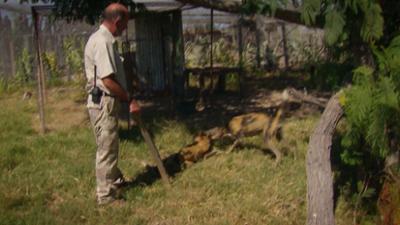 Das Waisenhaus für wilde Tiere: Folge 122: Abenteuer Afrika