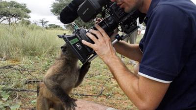 Das Waisenhaus für wilde Tiere: Folge 99: Abenteuer Afrika