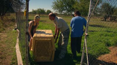 Das Waisenhaus für wilde Tiere: Folge 124: Abenteuer Afrika