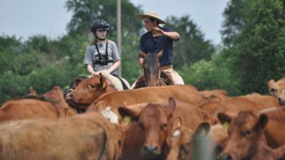 Dein großer Tag: Linn beim Westernreiten