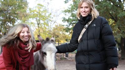 Dein Song - ein Hit, eine Story: Lea – Immer wenn wir uns sehn