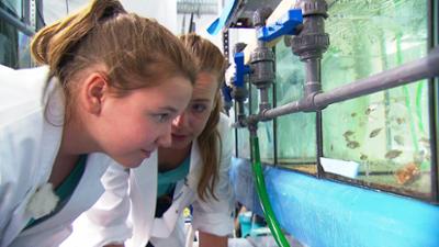 Dein Traumjob? Meeresbiologin!
