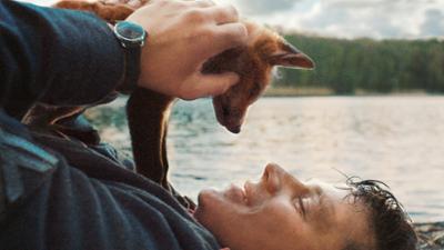 Der Fuchs