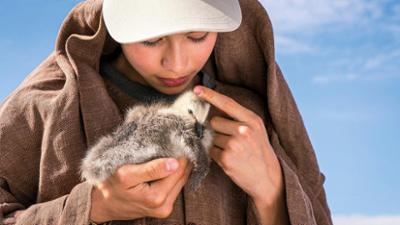 Der Junge und die Wildgänse