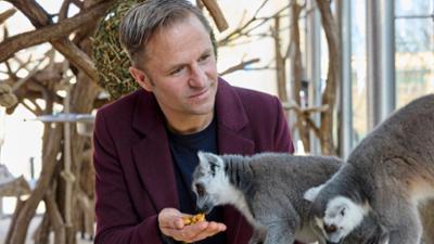 Der Wien-Krimi: Blind ermittelt: Tod im Tiergarten – Der Wien-Krimi: Blind ermittelt