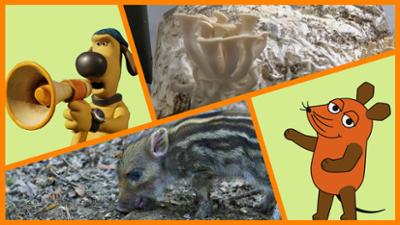 Die Sendung mit der Maus