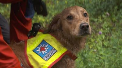 Die Sendung mit der Maus: MausSpezial: Rettungshündin Chilli wird ausgebildet