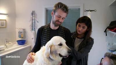 Die Tierärzte - Retter mit Herz: Eine schwere Entscheidung