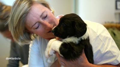 Die Tierärzte - Retter mit Herz: Vorsicht, ansteckend!