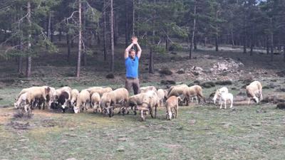 Durch die Wildnis - Sierra Nevada: (S04/E07) Durch die Wildnis - Sierra Nevada: (S04/E07)