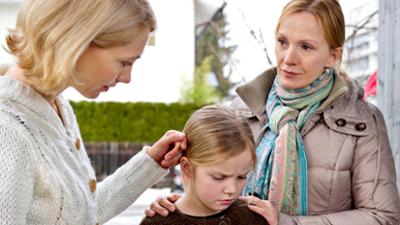 Einfach die Wahrheit