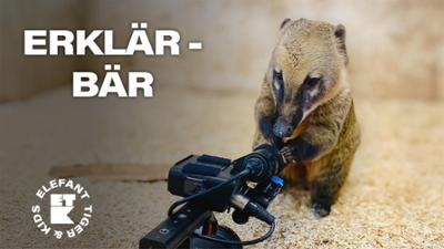 Elefant, Tiger & Co.: Folge 33: Von Eseln und Wölfen (S03/E11)
