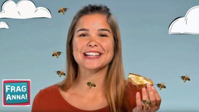 Frag Anna!: Eisbären, Bienen, Leoparden