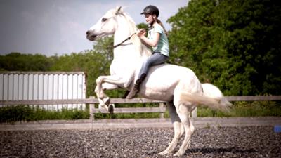 HipHorses - Du und Dein Pferd: Mia und Charly auf dem Bauernhof (1) HipHorses - Du und Dein Pferd: Mia und Charly auf dem Bauernhof (1)