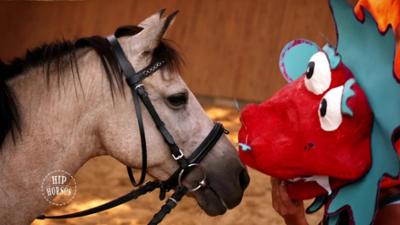 HipHorses - Du und dein Pferd: Finnja und Showpferd Missy (7) HipHorses - Du und dein Pferd: Finnja und Showpferd Missy (7)