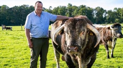 Hofgeschichten - Ackern zwischen Alpen und Ostsee: Best-of (1) 2. Staffel (S02/E21)