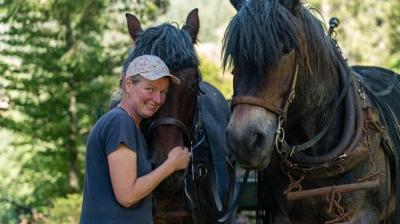 Hofgeschichten - Ackern zwischen Alpen und Ostsee: Folge 6: Holzmachen mit den Kaltblütern (S02/E06)