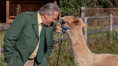 Hubert ohne Staller: Folge 186: Die Nacht, in der Elvis starb (S12/E10)