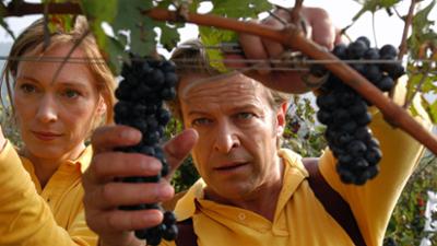 Liebe auf den dritten Blick