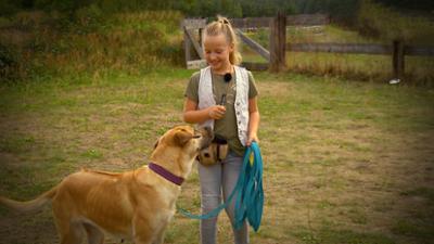 Liebste Fellnasen - Abenteuer Hundeschule: Folge 3: Bitte schau mich an! (S02/E03)