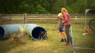 Liebste Fellnasen - Abenteuer Hundeschule: Folge 4: Klicks für Knicki (S02/E04)