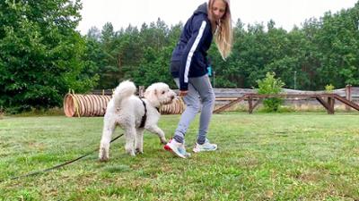 Liebste Fellnasen - Abenteuer Hundeschule: Folge 4: Liebste Fellnasen - Abenteuer Hundeschule (S01/E04)