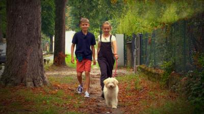 Liebste Fellnasen - Abenteuer Hundeschule: Folge 5: Alles neu macht der Hund (S02/E05)