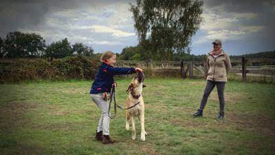Liebste Fellnasen - Abenteuer Hundeschule: Folge 12: Gut geübt? (S02/E12)