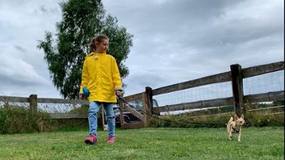 Liebste Fellnasen - Abenteuer Hundeschule: Folge 6: Liebste Fellnasen - Abenteuer Hundeschule (S01/E06)