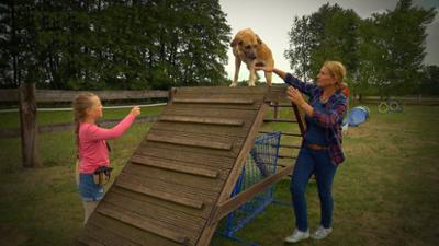 Liebste Fellnasen - Abenteuer Hundeschule: Folge 10: Hinterlassenschaften und Glücksmomente (S02/E10)