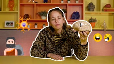 MausBlick: Warum ist Lachen ansteckend?: Warum ist Lachen ansteckend?