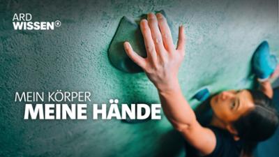 Mein Körper: Meine Hände. Wie sie unser Gehirn trainieren
