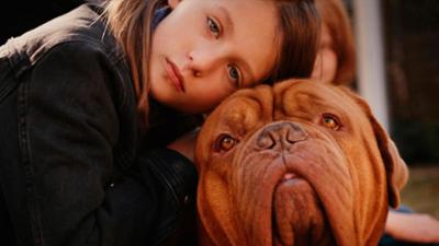 Meine Nachbarn mit dem dicken Hund