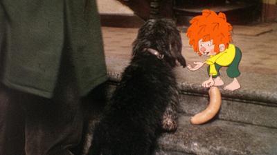 Meister Eder und sein Pumuckl: Der rätselhafte Hund