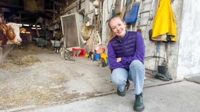Nina und die Haustiere: Hilfe für Streunerkatzen
