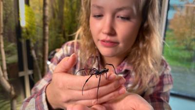 Nina und die wilden Tiere: Ich glaub, die Spinnen!
