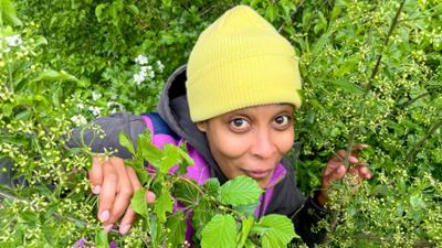 Pia und die wilde Natur: Ab in die Hecke!